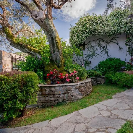 Gardenia Sea View Holiday home Chorefton